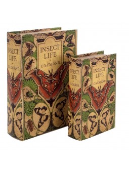 Set 2 cajas libro