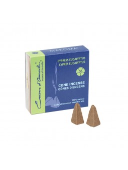 Cypress-eucalip.caj.mini conos