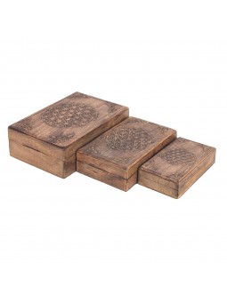 S/3 cajas rectangulares