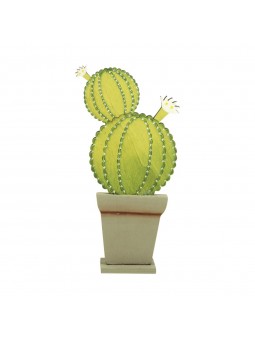 PROMOTION *cactus