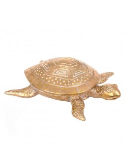 Tortuga