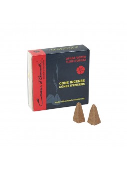 Cajas mini conos