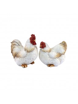 Gallo- gallina peq