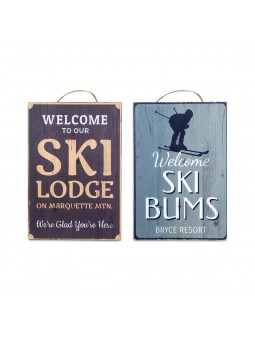 PROMOTION *placa pared ski