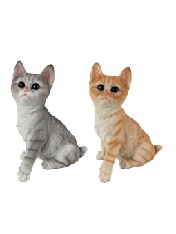 Gato 2 dif.