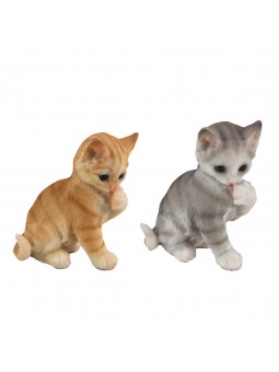 Gato 2 dif.