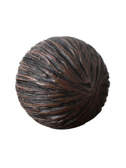 Bola