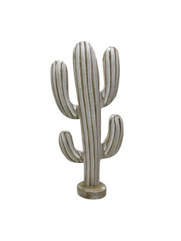 Cactus peq.