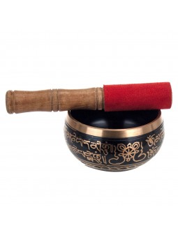 Cuenco de lat¢n con palo 