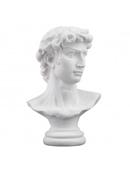 Busto david  blanco
