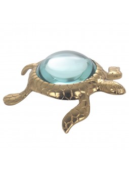 Lupa tortuga