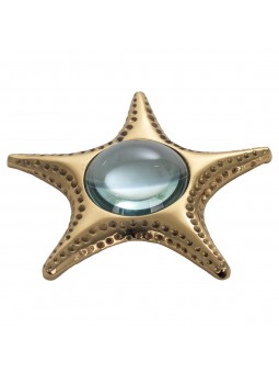Lupa estrella de mar