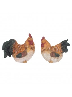 Gallina 2 dif.