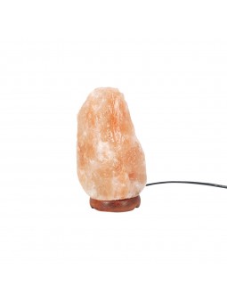 Lampara sal 2,42 kgs.