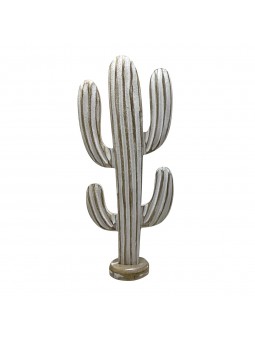 Cactus gra.