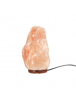 Lampara sal 4,85 kgs.